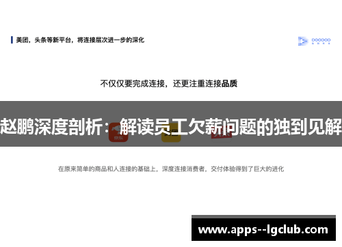 赵鹏深度剖析：解读员工欠薪问题的独到见解